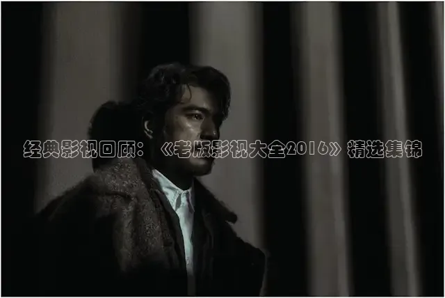 88影视免费网大全
